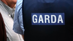 It is understood the two suspects had wrapped a jumper around Peadar Doyle's face and a hat on his head in an attempt to disguise his real condition. Photo / 123RF