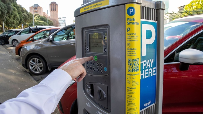 Tony Stallard's technical defence focused on challenging the council’s parking bylaw. Photo / Mark Mitchell