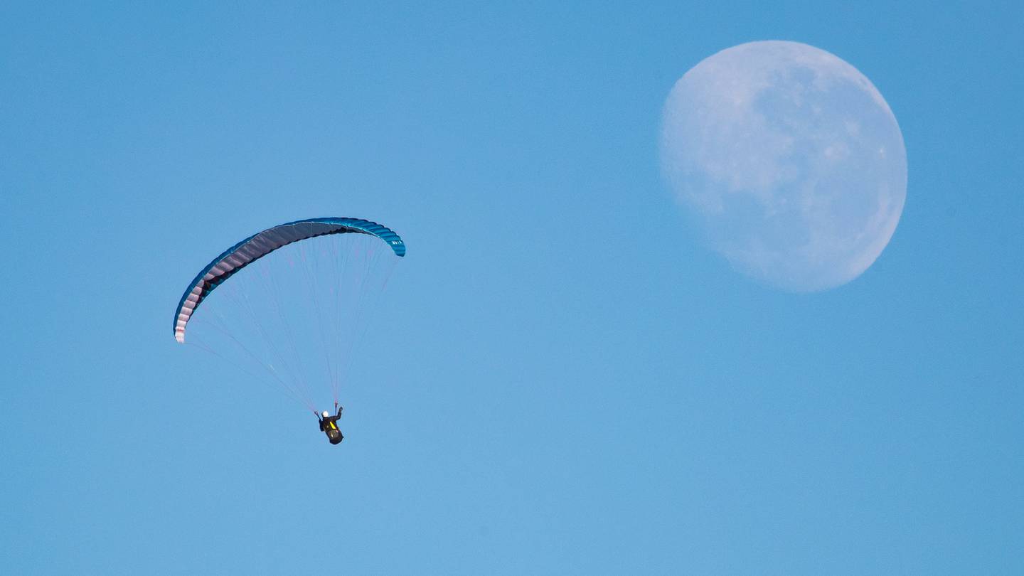 Police say there are no reports of injury. Photo / Mark Mitchell