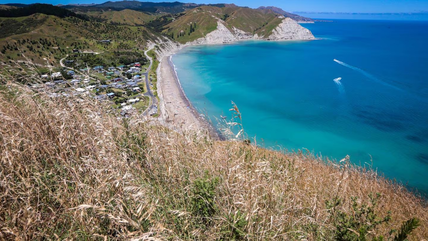 A gang member was due to appear in Gisborne District Court on Wednesday following a serious assault in Mahia. Photo / Paul Taylor