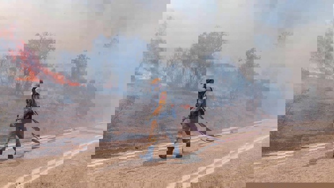 A firefighter near Alexandroupolis, in northeastern Greece. With firefighting forces stretched to the limit, Greece asked other European countries for assistance. Photo / AP