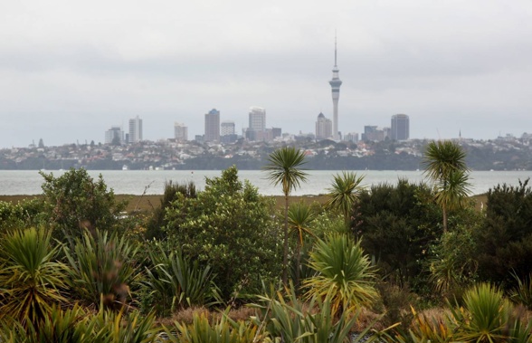 View back to the city from the Harbourview-Orangihina Park. Photo / Natalie Slade