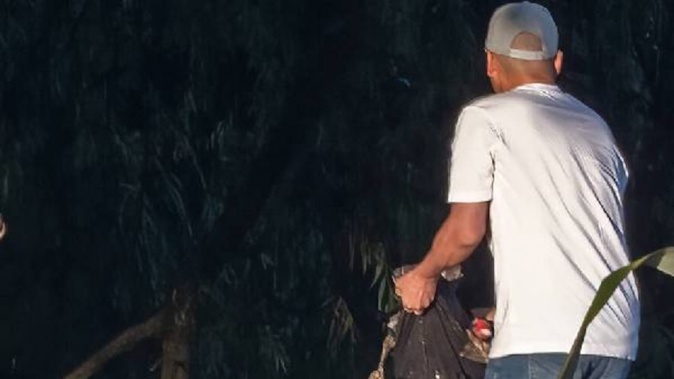 The man appeared to grab the swan near the water’s edge as witnesses looked on from across the lake. Photo / Lydia Gillies, Geoff Shepherd