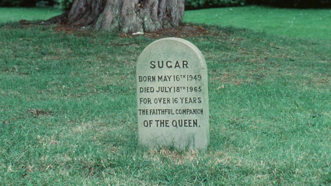 Where do royal pets go when they die? Photo / Tim Graham Library, Getty Images