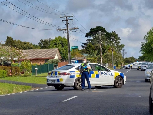 Armed police have surrounded a property in Glen Eden. (Photo / Dean Purcell)