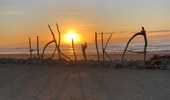 Hokitika Beach Driftwood. Photo / Supplied