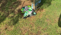 Ōrākei Board responds to backlash as dog walkers leave used bags where bin used to be