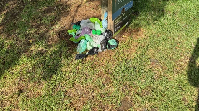 The pile of bags filled with poo where Auckland Council has removed a rubbish bin at a popular dog-walking area in Remuera.