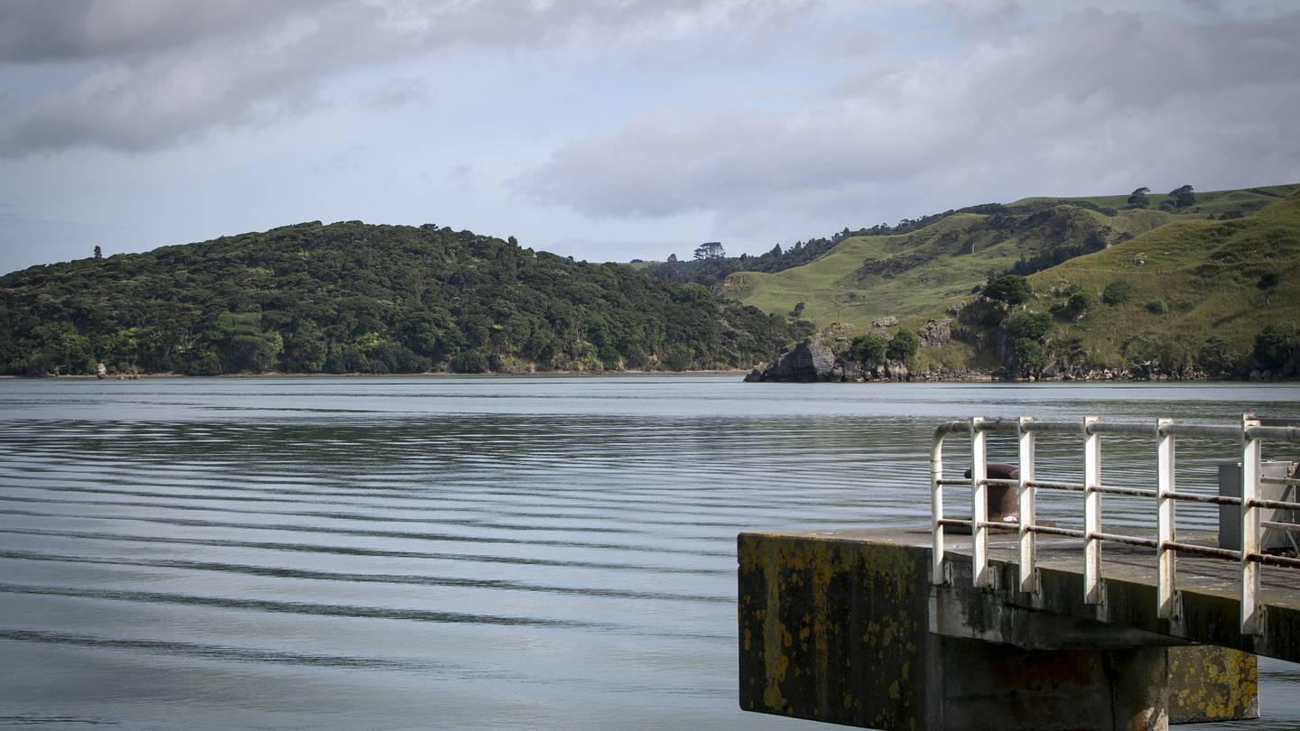 Raglan Harbour. Photo / Michael Craig