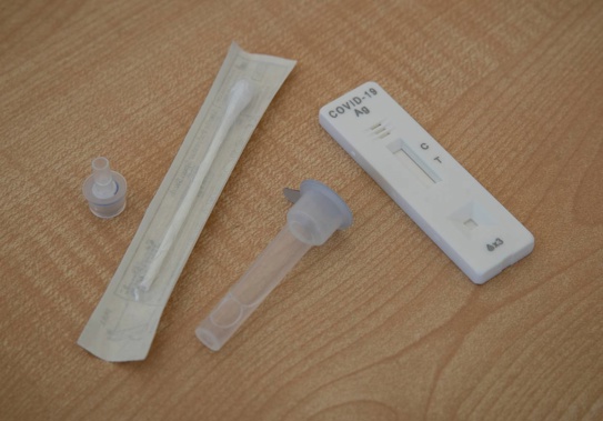 A Covid-19 rapid antigen testing kit. (Photo / Dean Purcell)