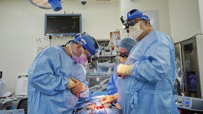 Dr Nader Moazami, right, and cardiothoracic physician assistant Amanda Merrifield, prepare for the transplant of a genetically modified pig heart into a recently deceased donor. Photo / AP