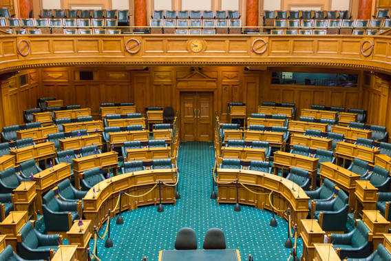 (Photo / parliament.nz)