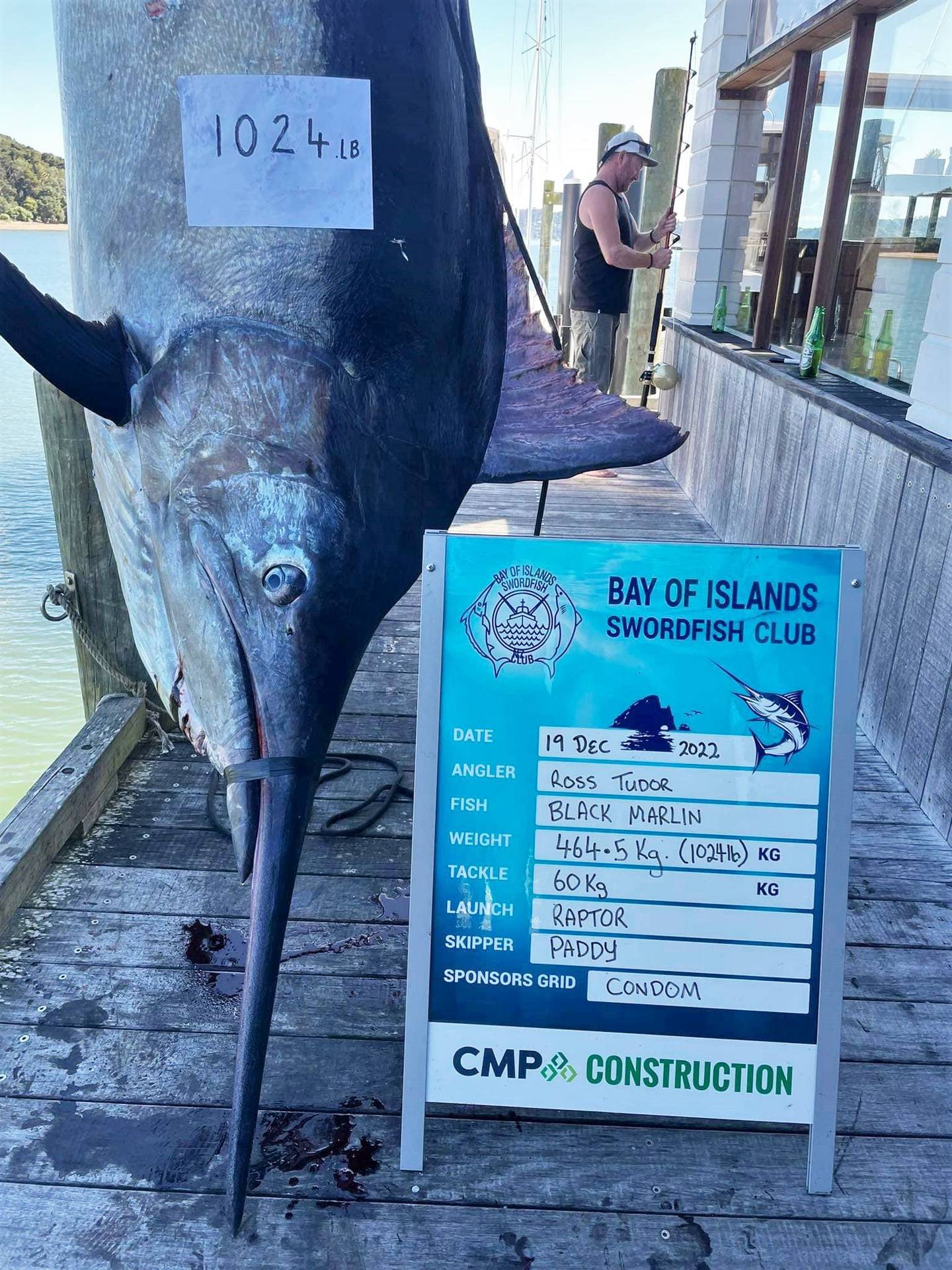 If certified, Ross Tuydor’s black marlin will be a New Zealand record for a 60kg line. Photo / Ken Lousley