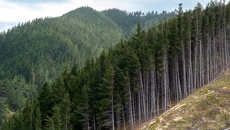 Perspective with Heather du Plessis-Allan: Is our climate overhype coming to an end?