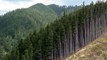 Perspective with Heather du Plessis-Allan: Is our climate overhype coming to an end?