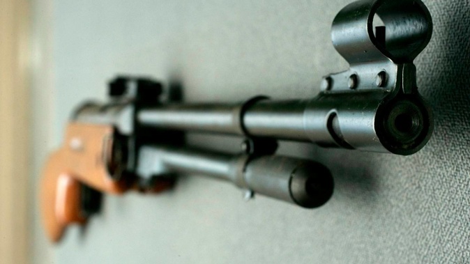 Shocked witnesses saw the drunken men with the air rifle. (Photo / File)