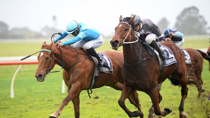 The betcha platform won’t provide punters with tote betting on racing, only fixed odds. Photo / Therese Davis, Race Images