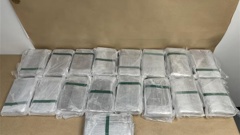 Customs believes the 101kg found over the weekend is the largest amount of cocaine found at a New Zealand Airport. Photo / Customs