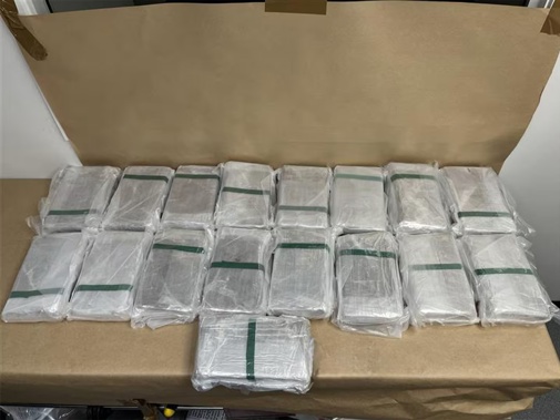 Customs believes the 101kg found over the weekend is the largest amount of cocaine found at a New Zealand Airport. Photo / Customs