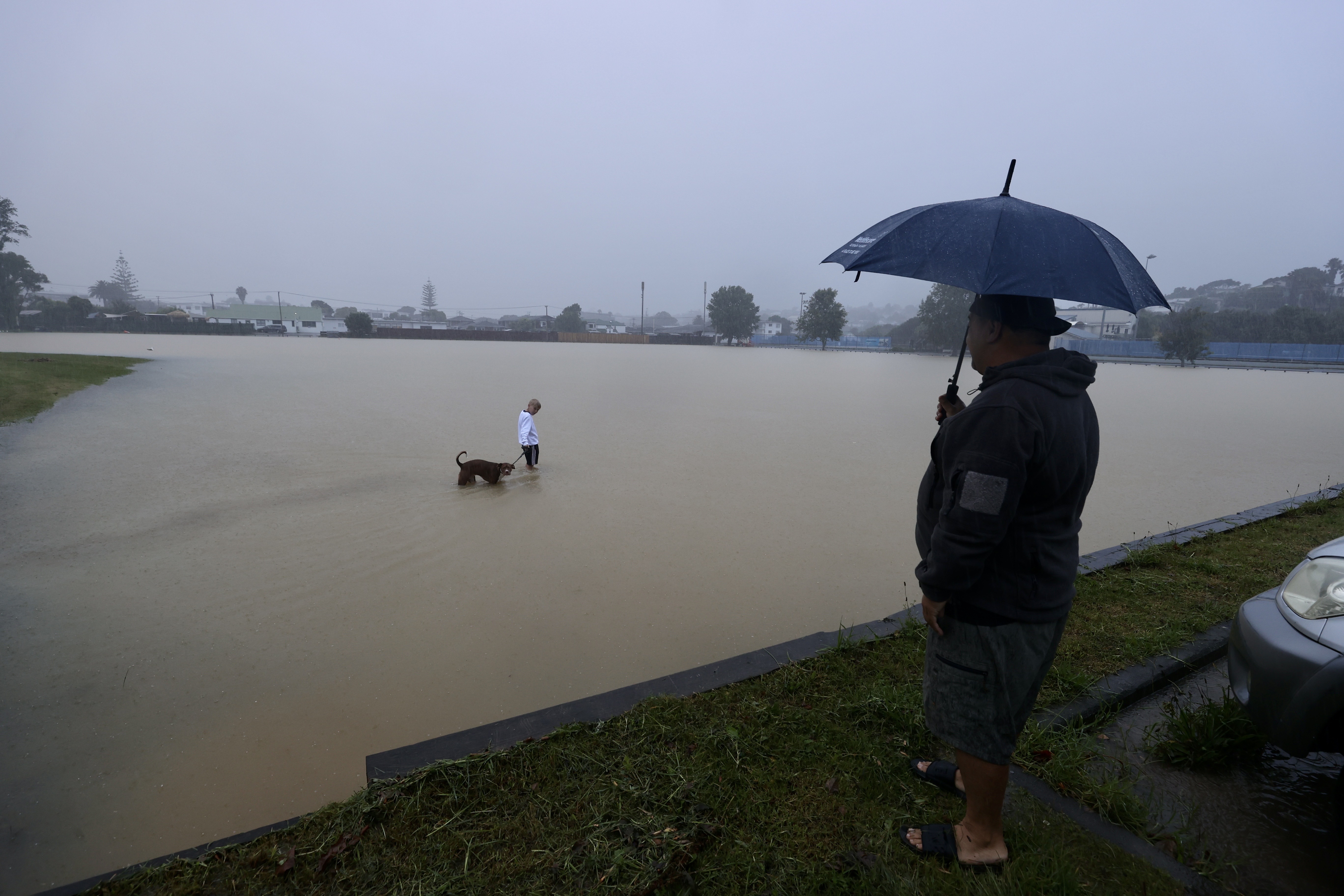  Photo / Brett Phibbs