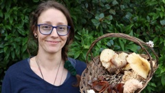 Sharn Steadman has learned about growing and foraging for mushrooms and is passing on that knowledge. Photo / Stuart Whitaker