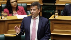 Act leader David Seymour during the second reading of the Treaty Principles Bill, Parliament, Wellington. 10 April, 2025. Photo / Mark Mitchell