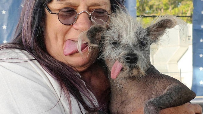 Scooter, a seven-year-old Chinese crested dog, is held by his owner Linda Elmquist after winning first place in the "World's Ugliest Dog" contest. Photo / Barbara Munker via Getty Images