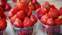 Christmas strawberry shortage expected with crops 'annihilated' by poor weather