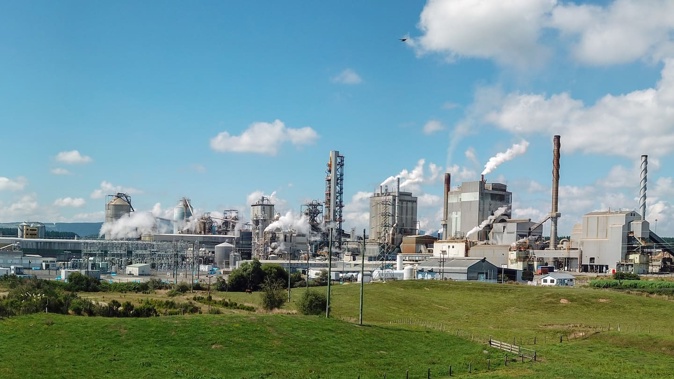 Oji Fibre Solutions is proposing to halt paper production at Kinleith Mill from June 2025.