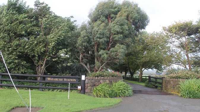 Waiaruhe Station was passed in at auction in 2017. Photo / NZME
