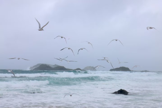 Swell was building at Ocean Beach in Whangārei Heads this morning as Cyclone Tam approaches. Photo / Karina Cooper