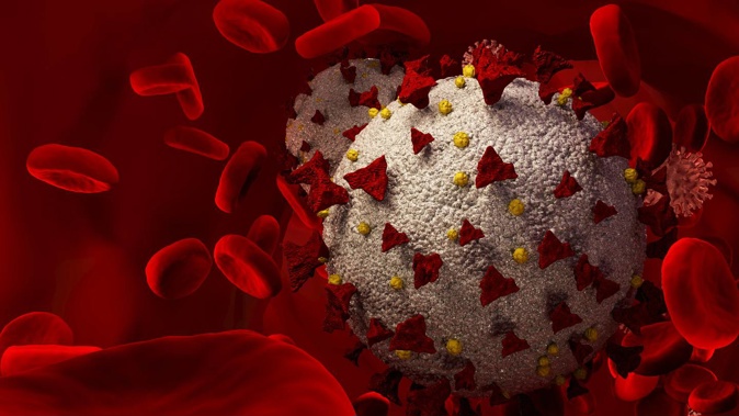 The latest ESR surveillance shows community prevalence of BA.5 - which pushed daily reported cases past 10,000 in mid-July - had fallen to about 75 per cent of sequenced genome samples. Image / 123RF