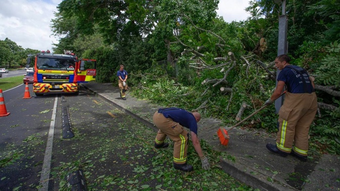 FENZ attend a fallen tree at Auckland's St Lukes Rd as weather worsens throughout the country. Photo / Hayden Woodward