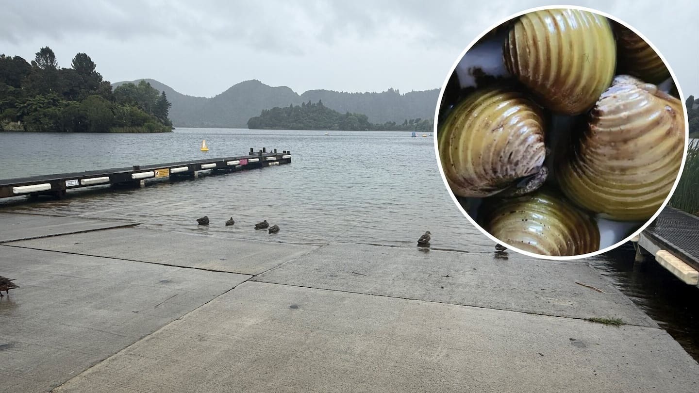 Gold clam clampdown at Lake Ōkāreka sparks concern for Lake Tarawera anglers