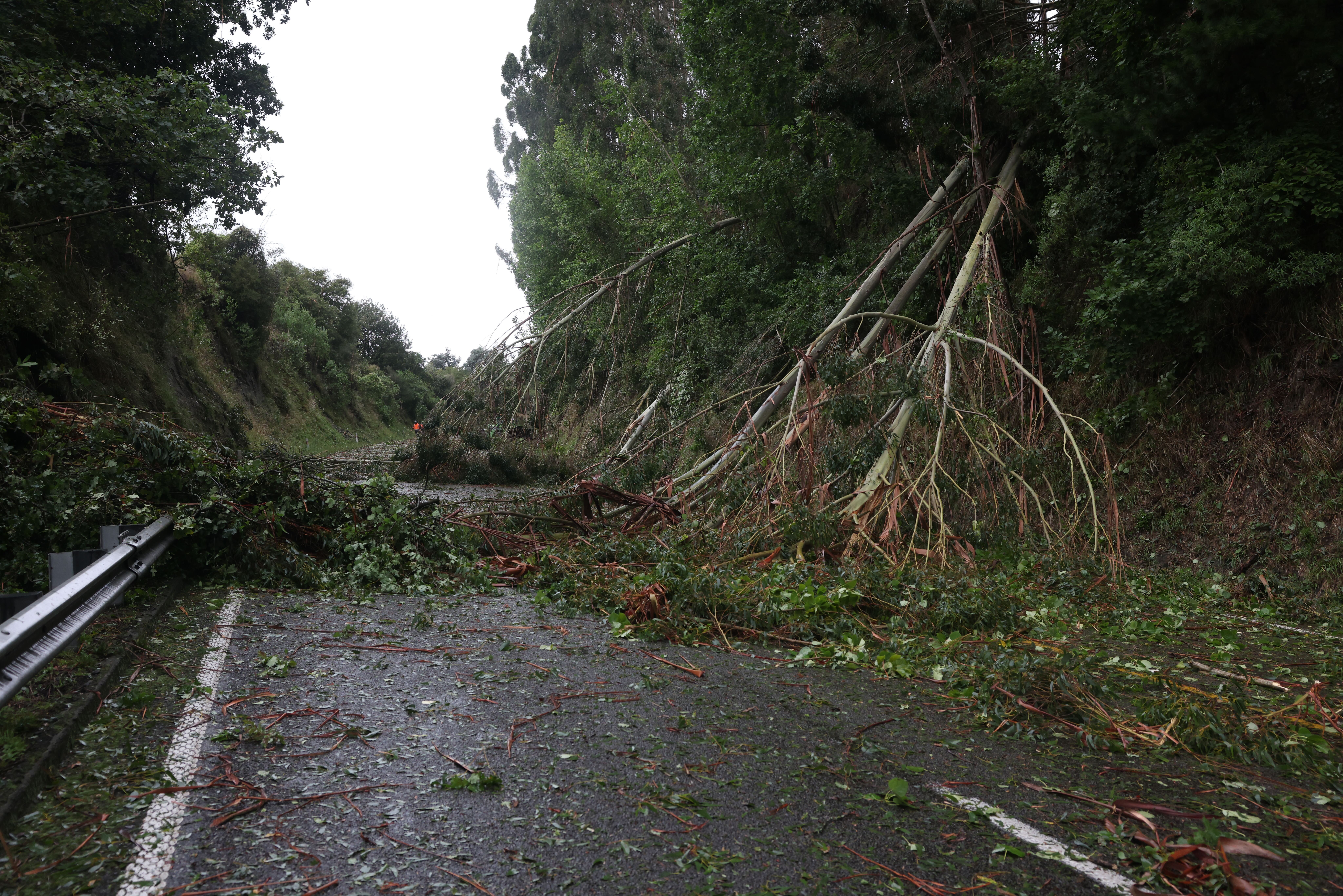 Wellington Weather update from WREMO's Sam Bishop