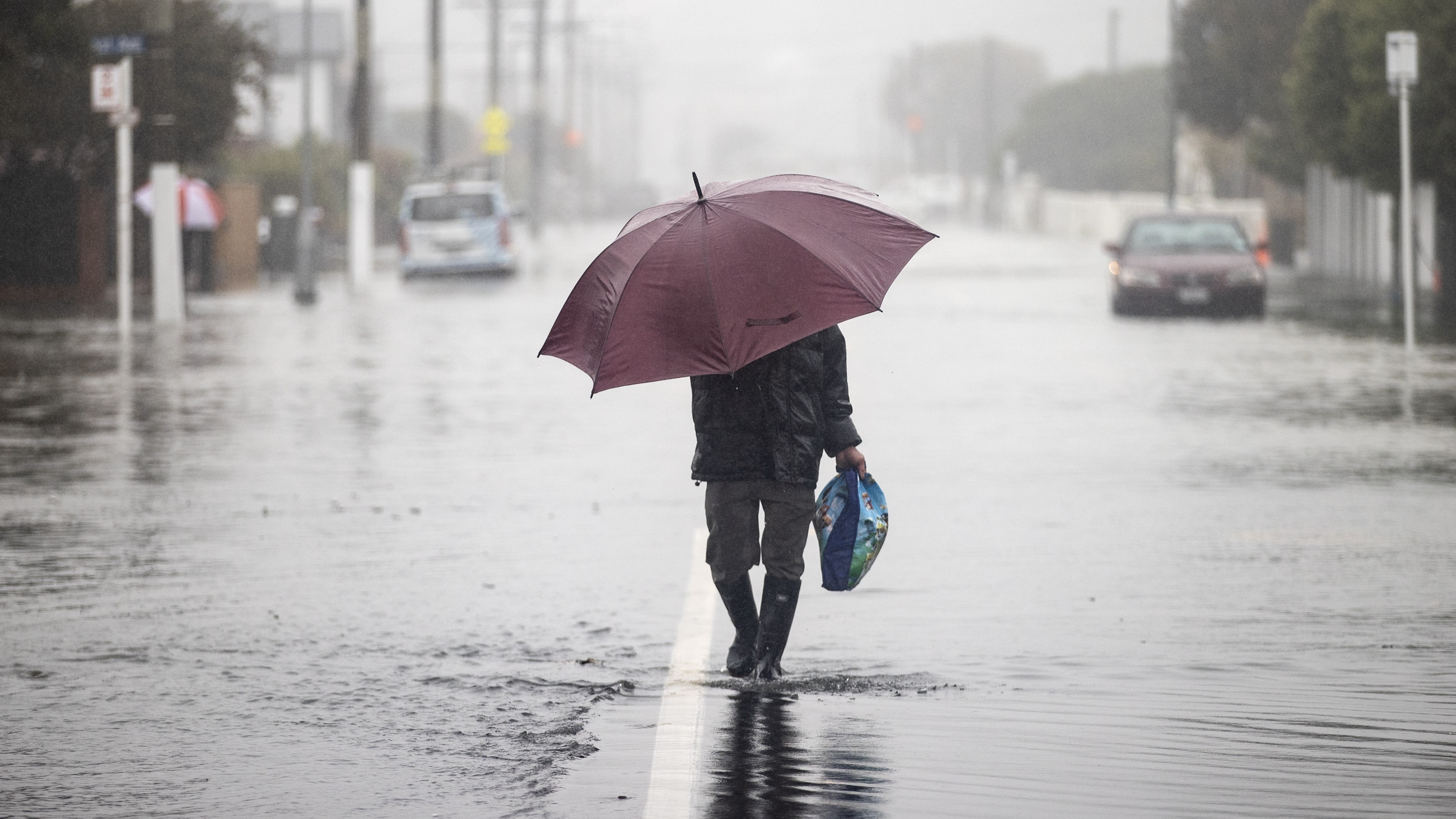 Photo / George Heard