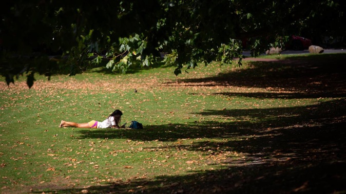Photo/NZ Herald
