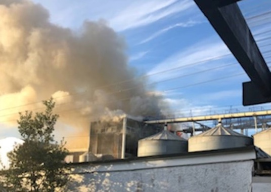 Fumes coming out of a grain-processing plant in Elgin, Gisborne. Photo / Jim Reed