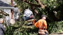 One dead after concrete truck falls on Remuera house