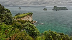 Thames-Coromandel residential properties are now valued at an average $1.1 million.