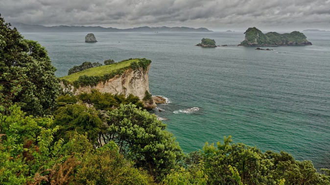 Thames-Coromandel residential properties are now valued at an average $1.1 million.