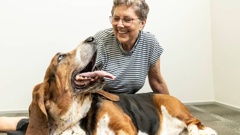 Leonie Trubshoe and her 10-year-old Basset Hound Erle. Photo / Andrew Warner