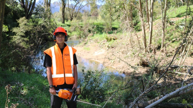 Hauraki River Management: Scheme office Levi Renata works his way along the Hikutaia River, felling old poplars to mitigate the risk of river obstructions in the future. Photo / Waikato Regional Council
