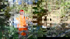 Hauraki River Management: Scheme office Levi Renata works his way along the Hikutaia River, felling old poplars to mitigate the risk of river obstructions in the future. Photo / Waikato Regional Council