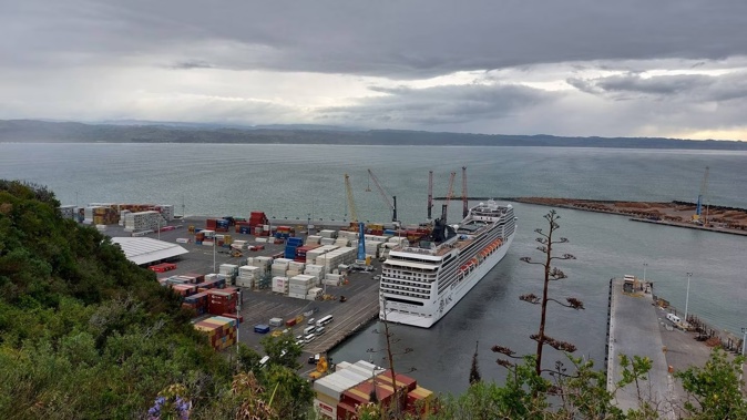 The MSC Magnifica in Napier Port on Friday morning. Photo / Gary Hamilton-Irvine