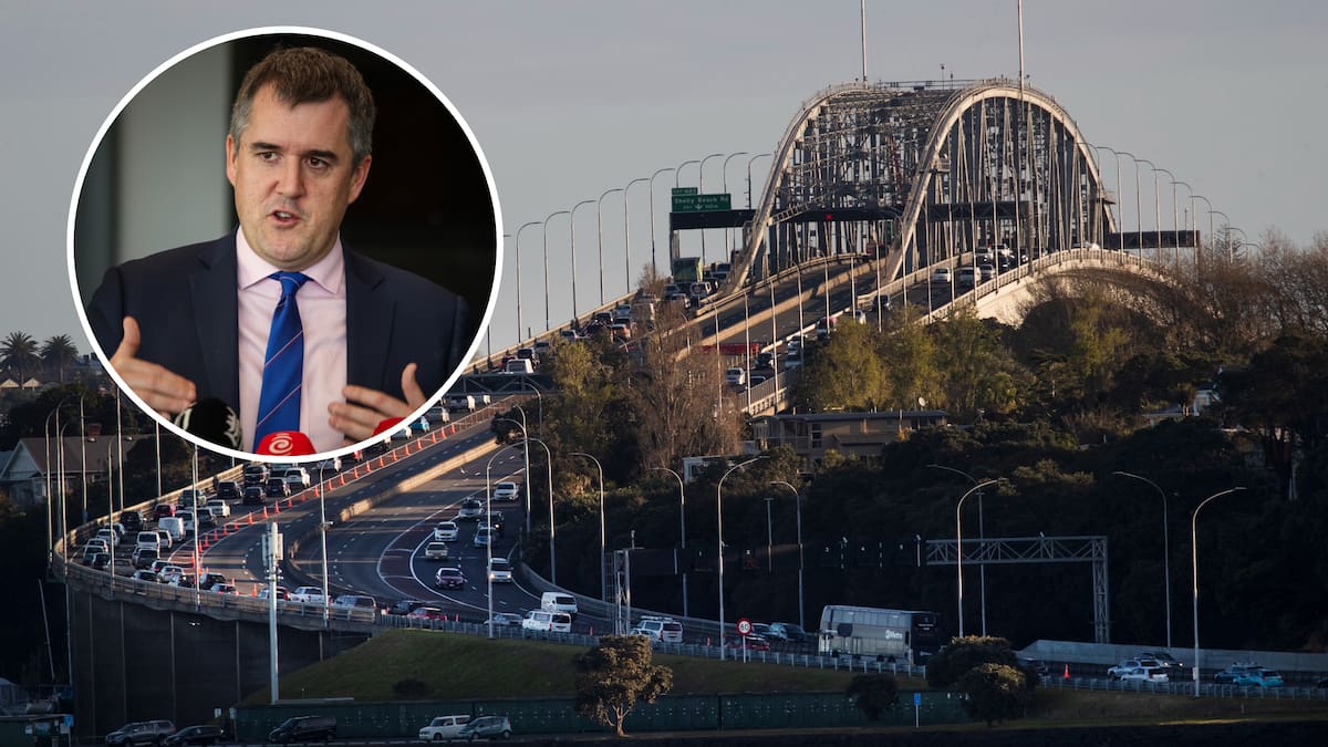 Perspective with Heather du Plessis-Allan: Take the Auckland Harbour crossing talk with a grain of salt