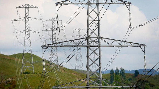 Transpower has had to cut power to Hawke's Bay residents for the second time in a week. (Photo / Bevan Conley)