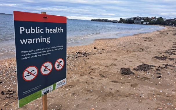A public health warning sign at Mission Bay beach in late September, 2023. Photo / RNZ