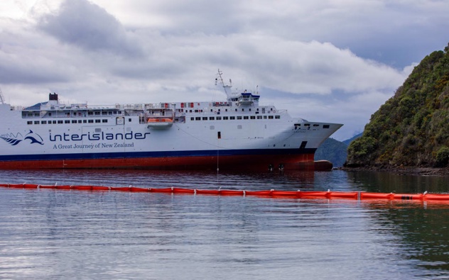 The Aratere ran aground north of Picton in June. Photo / Angus Dreaver via RNZ