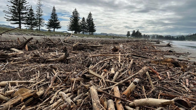 Slash and forestry waste on a Gisborne beach after Cyclone Gabrielle.
